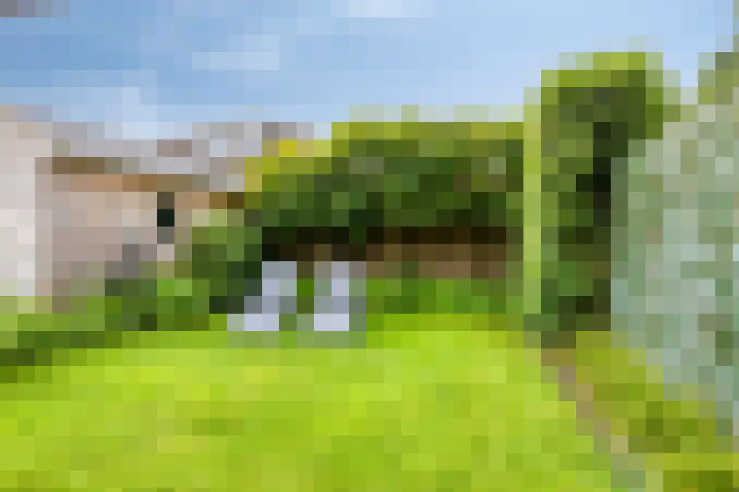 De Skries 30 Hurdegaryp thumbnail 10