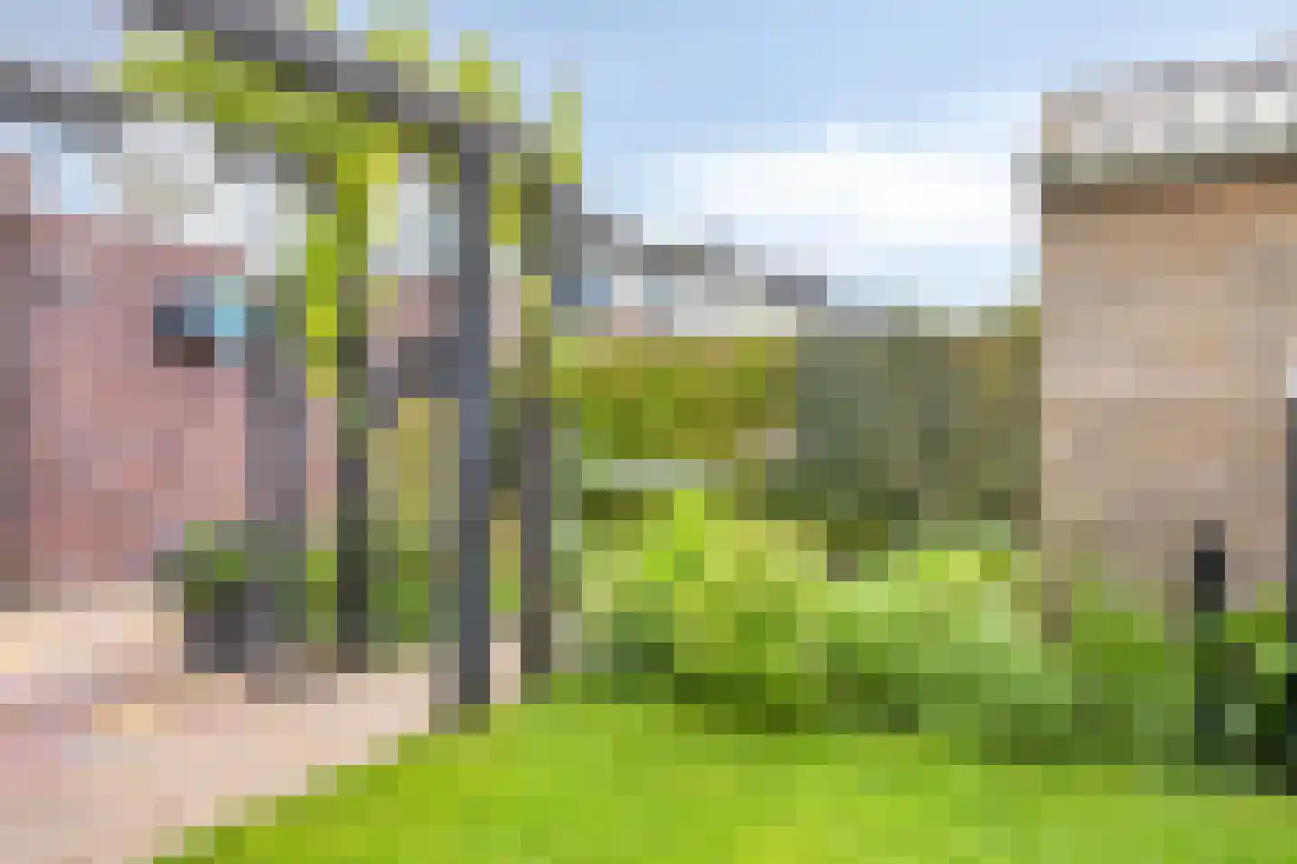 De Skries 30 Hurdegaryp thumbnail 11