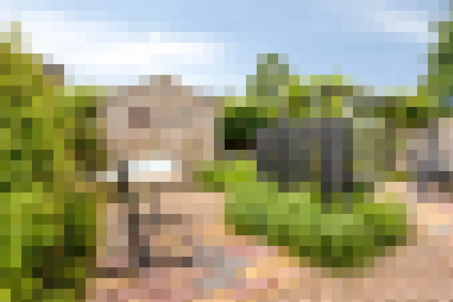 De Skries 30 Hurdegaryp thumbnail 12
