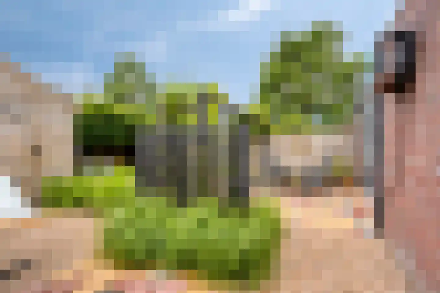 De Skries 30 Hurdegaryp thumbnail 13