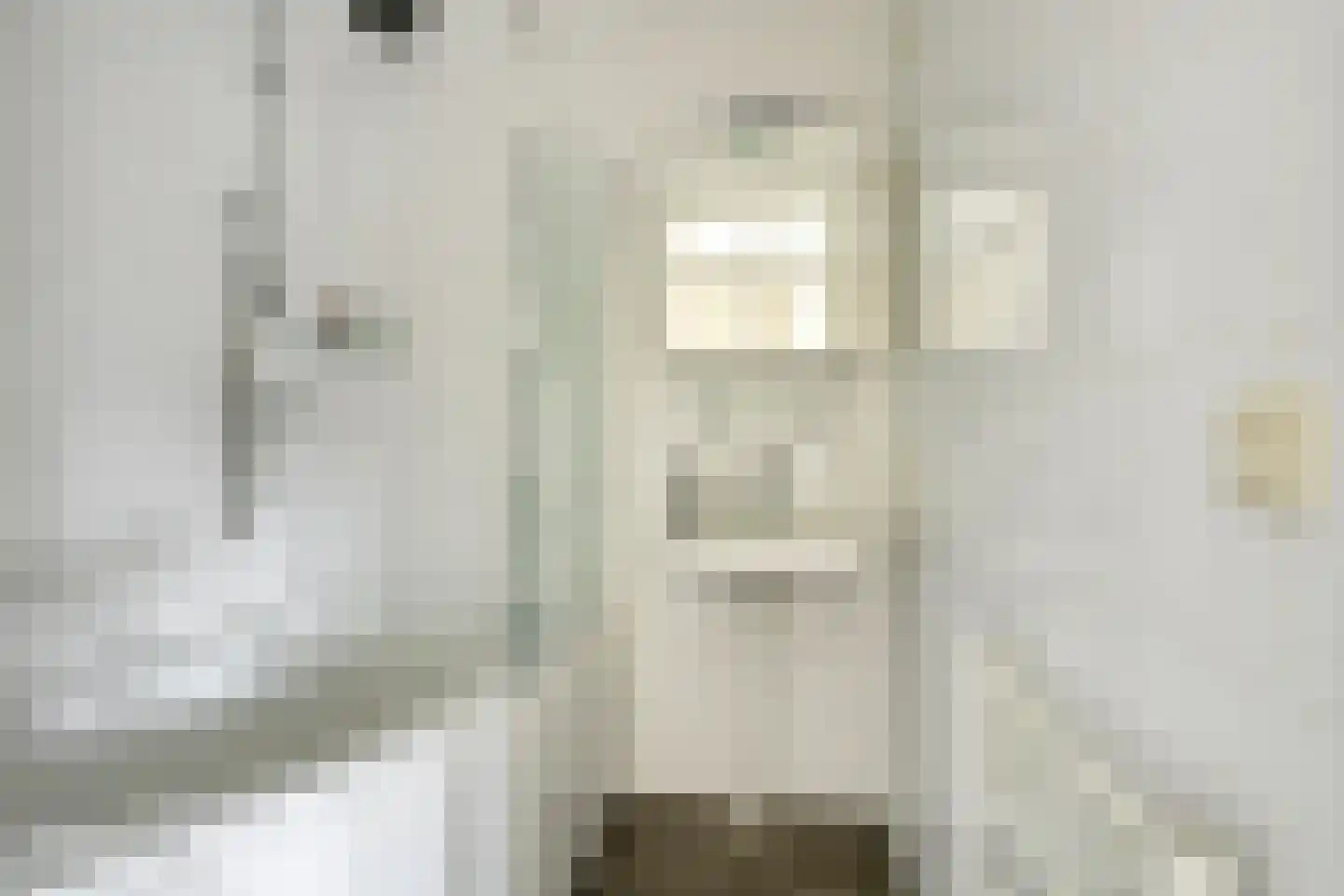 De Skries 30 Hurdegaryp thumbnail 31
