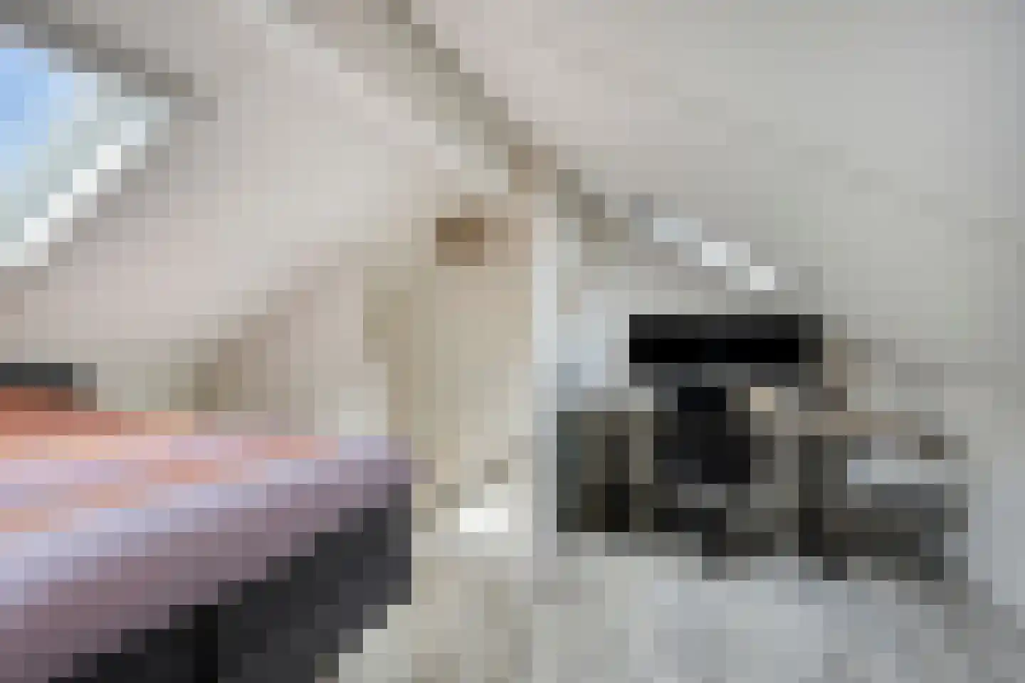 De Skries 30 Hurdegaryp thumbnail 33