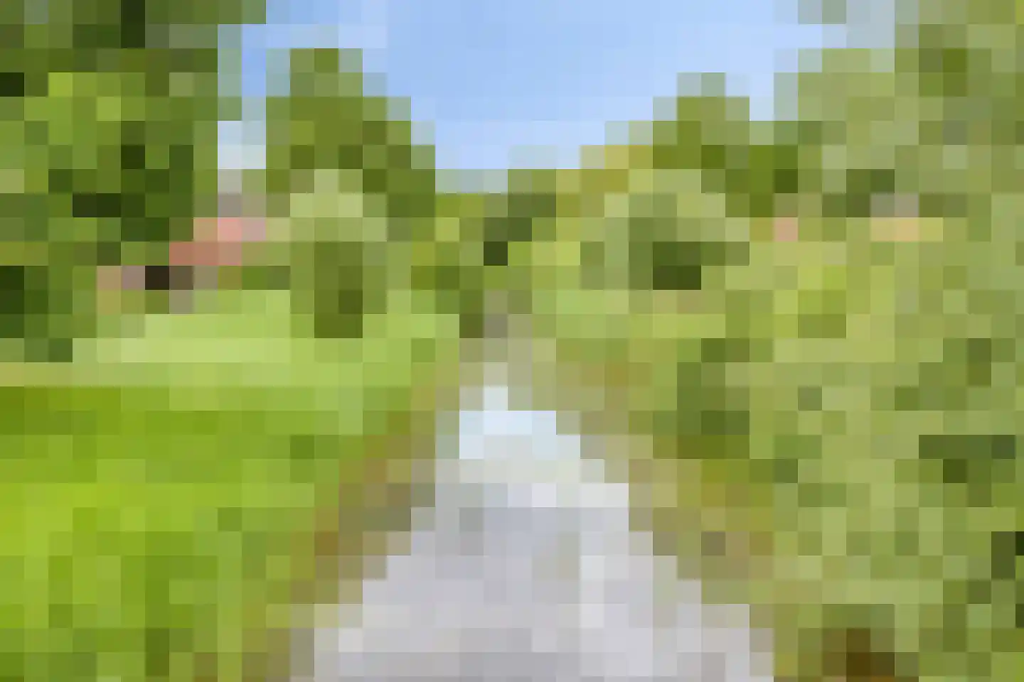 De Skries 30 Hurdegaryp thumbnail 37