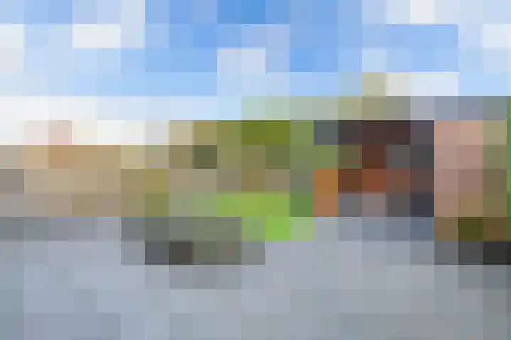 De Skries 44 Bolsward thumbnail 23