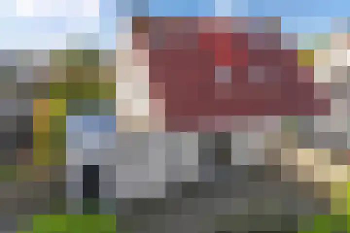 De Skries 44 Bolsward thumbnail 27