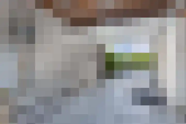 De Skries 44 Bolsward thumbnail 31