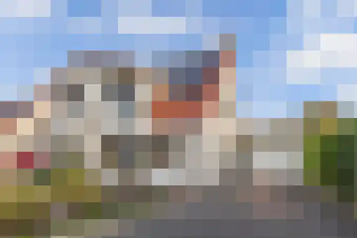 De Skries 44 Bolsward thumbnail 4