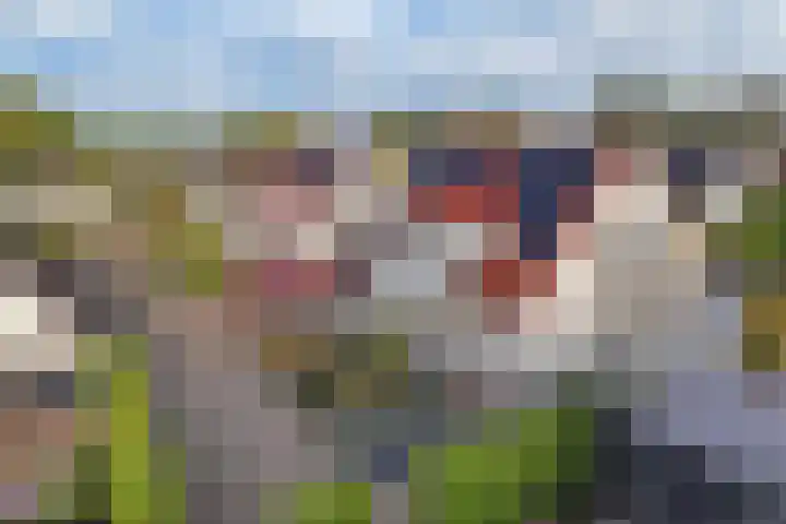 De Skries 44 Bolsward thumbnail 44
