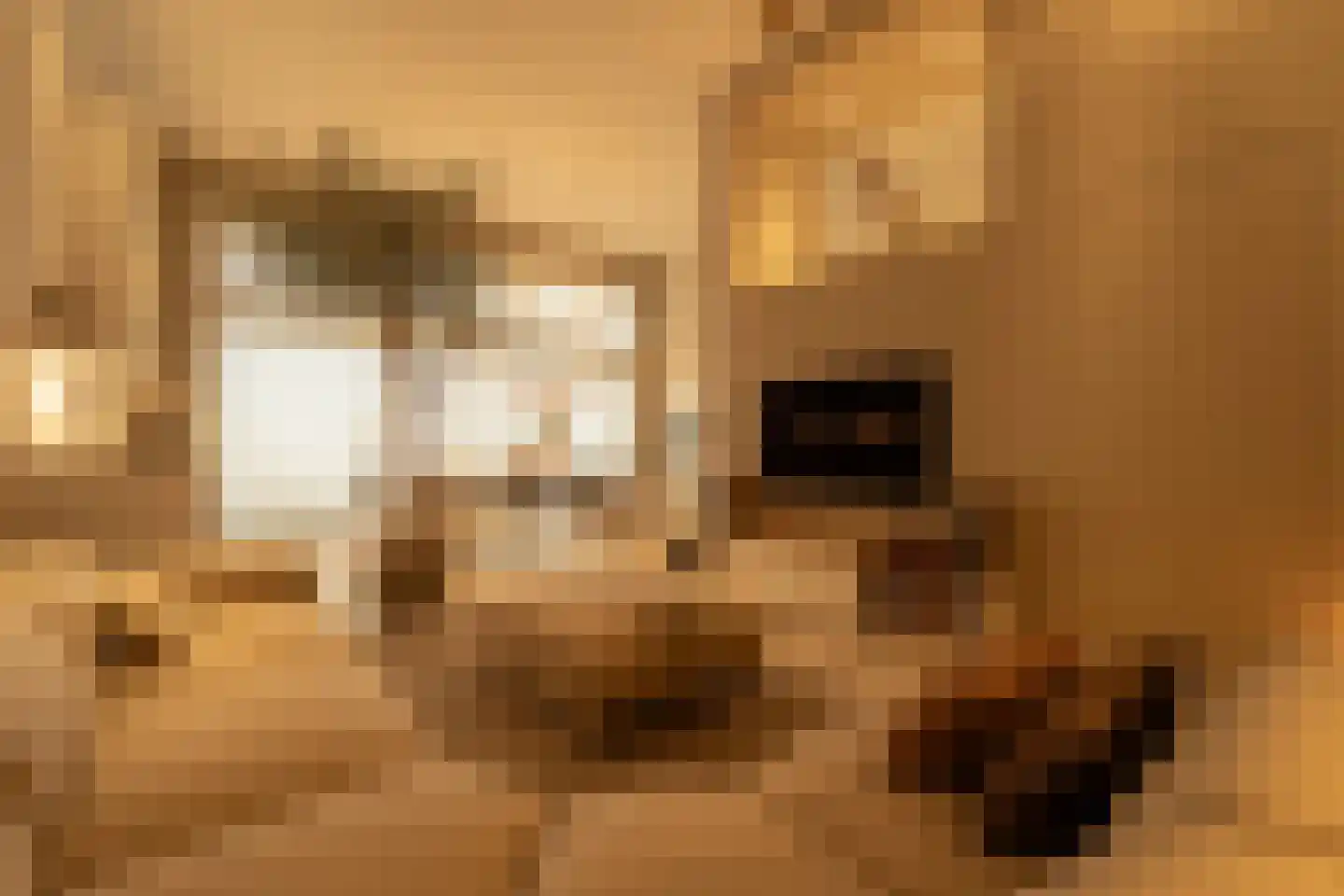 De Skulper 4 Akersloot thumbnail 15