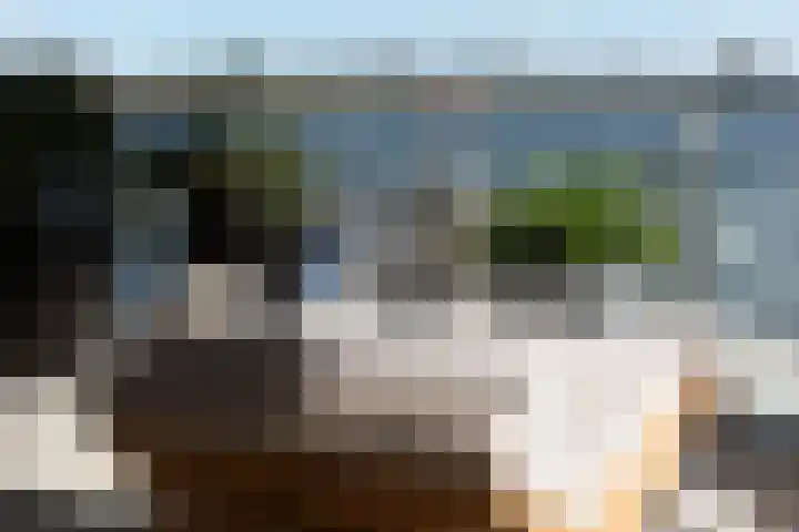 De Skulper 8 Akersloot thumbnail 15