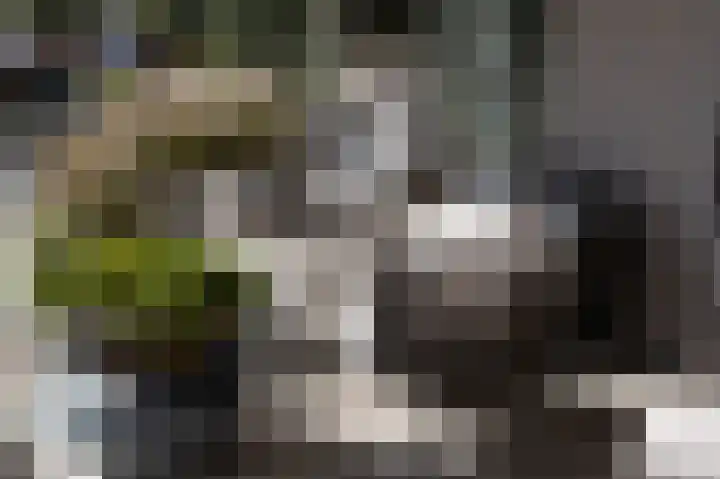De Skulper 8 Akersloot thumbnail 16