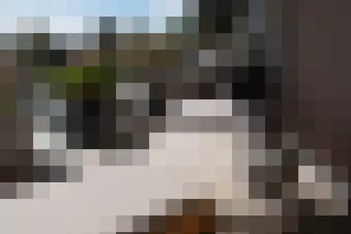 De Skulper 8 Akersloot thumbnail 17
