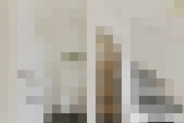 De Skuorrereed 6 Mantgum thumbnail 12
