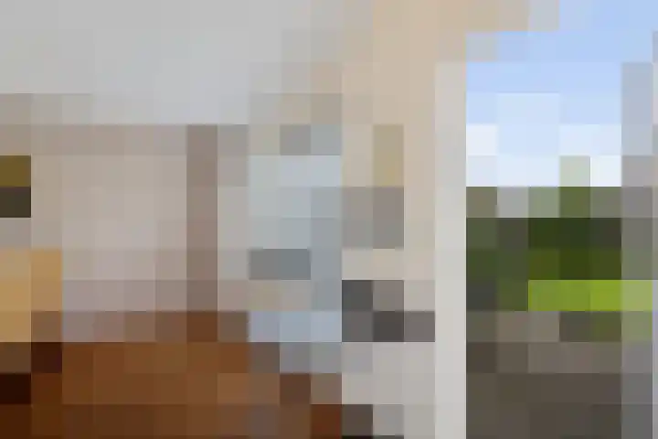 De Skuorrereed 6 Mantgum thumbnail 19