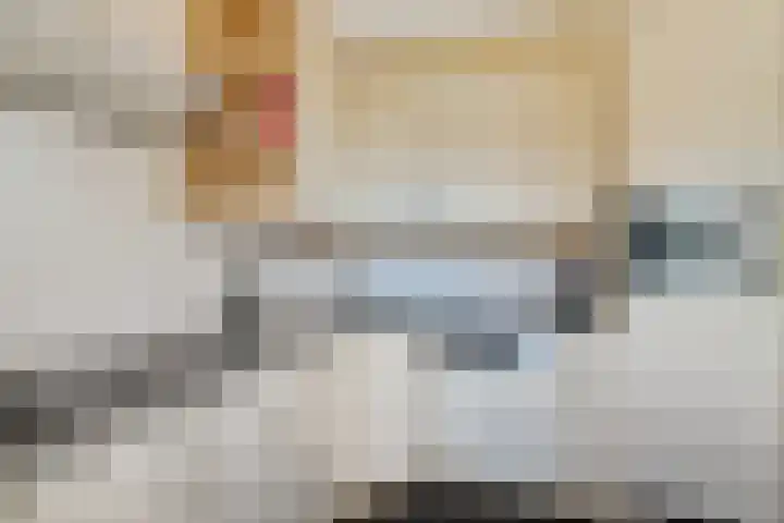De Skuorrereed 6 Mantgum thumbnail 20