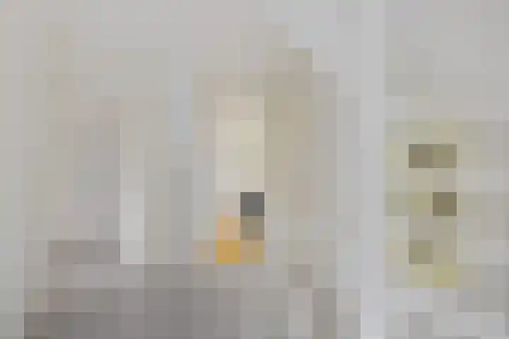 De Skuorrereed 6 Mantgum thumbnail 24