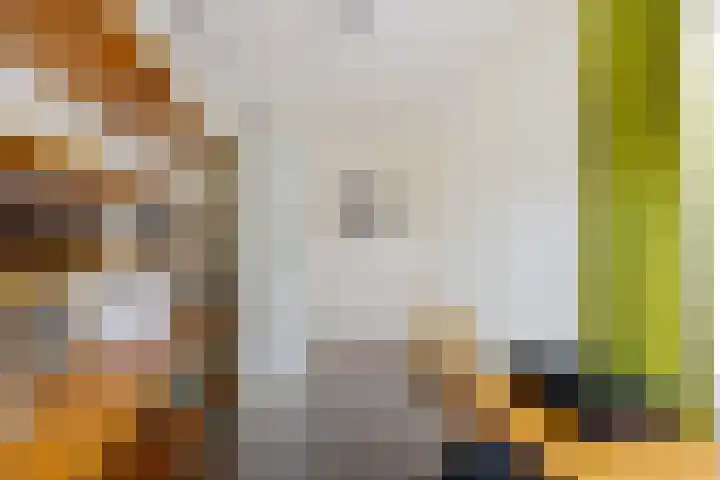 De Skuorrereed 6 Mantgum thumbnail 29