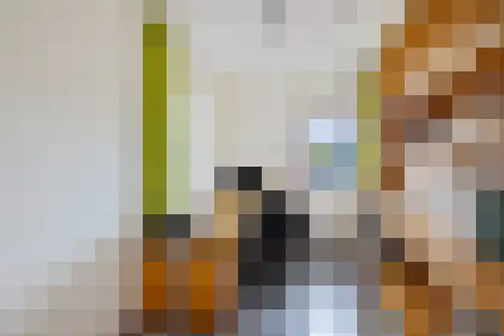De Skuorrereed 6 Mantgum thumbnail 30