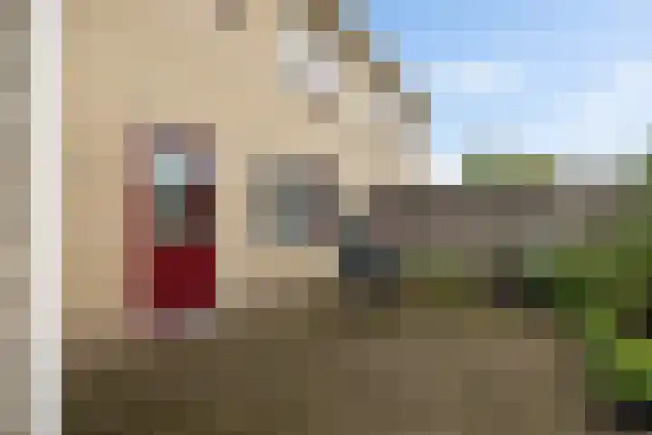 De Skuorrereed 6 Mantgum thumbnail 33