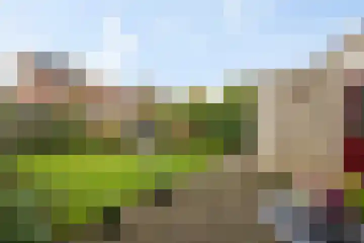 De Skuorrereed 6 Mantgum thumbnail 34