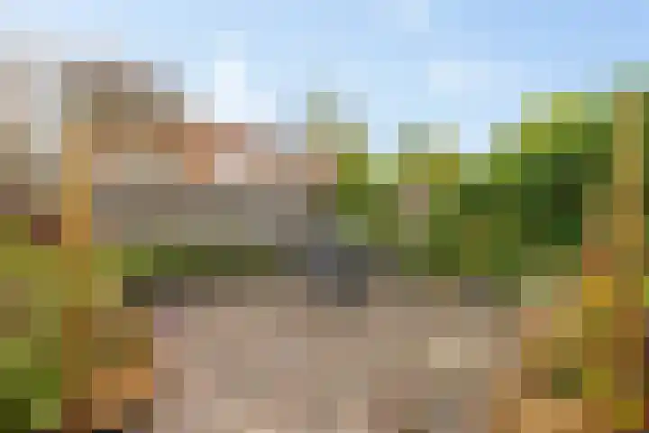 De Skuorrereed 6 Mantgum thumbnail 35
