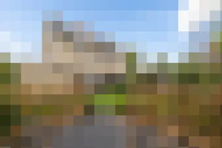 De Skuorrereed 6 Mantgum thumbnail 36