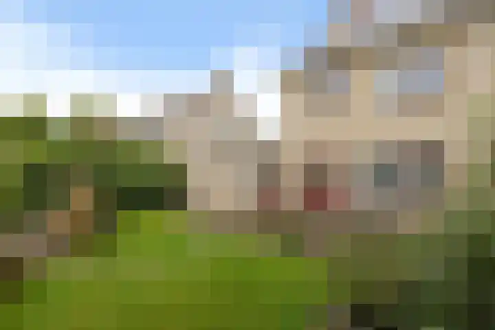 De Skuorrereed 6 Mantgum thumbnail 37