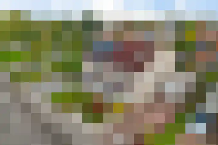 De Skuorrereed 6 Mantgum thumbnail 38