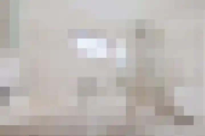 De Skuorrereed 6 Mantgum thumbnail 4
