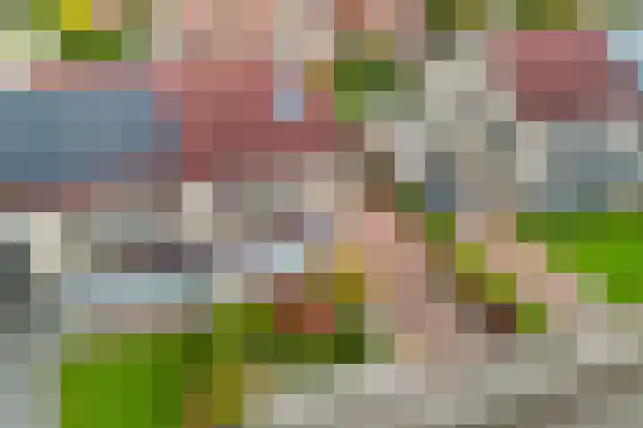 De Skuorrereed 6 Mantgum thumbnail 40