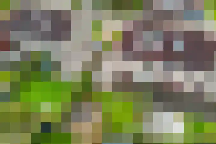 De Skuorrereed 6 Mantgum thumbnail 42