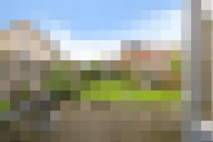 De Skuorrereed 6 Mantgum thumbnail 5