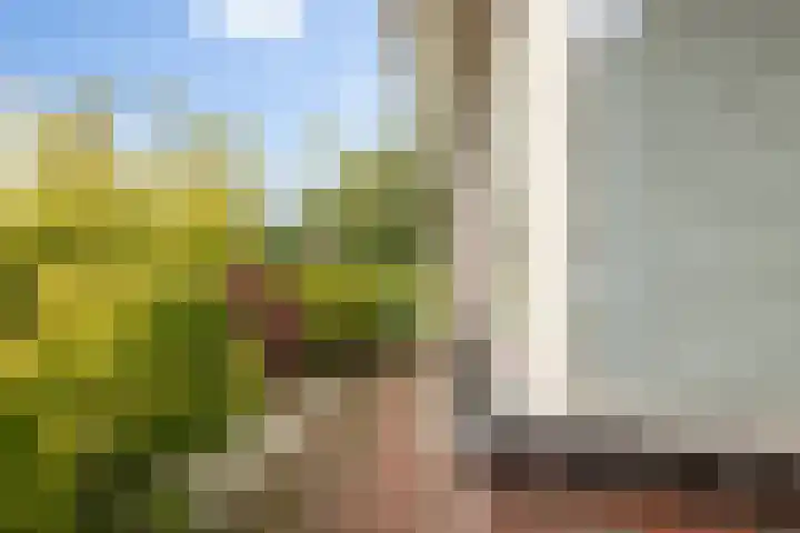 De Skuorrereed 6 Mantgum thumbnail 7