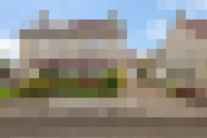 De Skuorrereed 6 Mantgum thumbnail 8