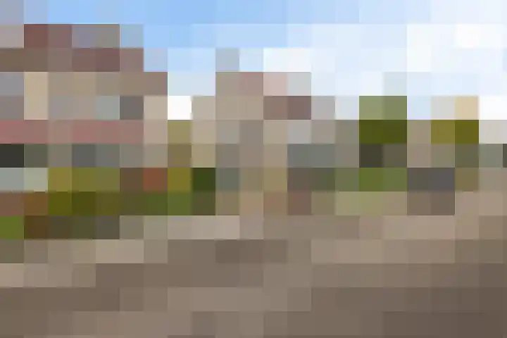 De Skuorrereed 6 Mantgum thumbnail 9