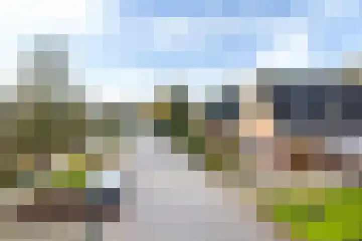 De Skuorrereed 7 Mantgum thumbnail 10