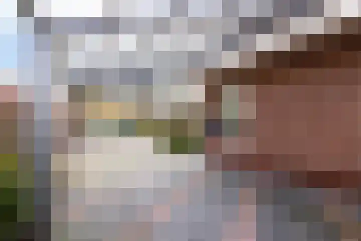 De Skuorrereed 7 Mantgum thumbnail 12