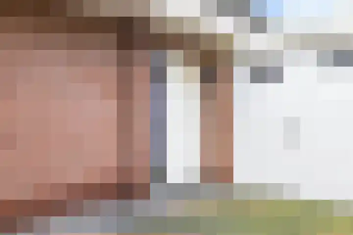 De Skuorrereed 7 Mantgum thumbnail 13