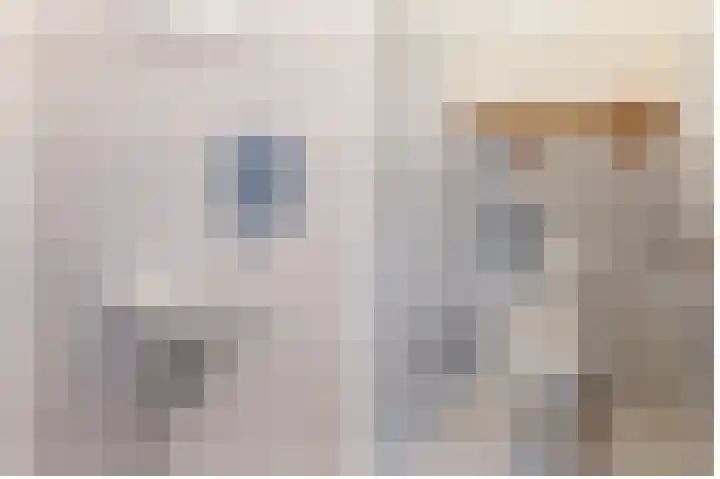De Skuorrereed 7 Mantgum thumbnail 15