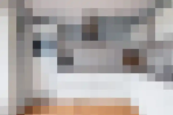 De Skuorrereed 7 Mantgum thumbnail 25