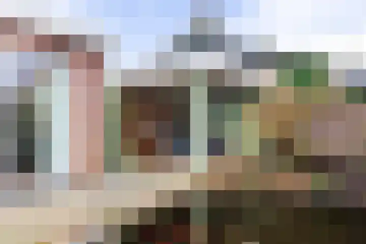 De Skuorrereed 7 Mantgum thumbnail 30