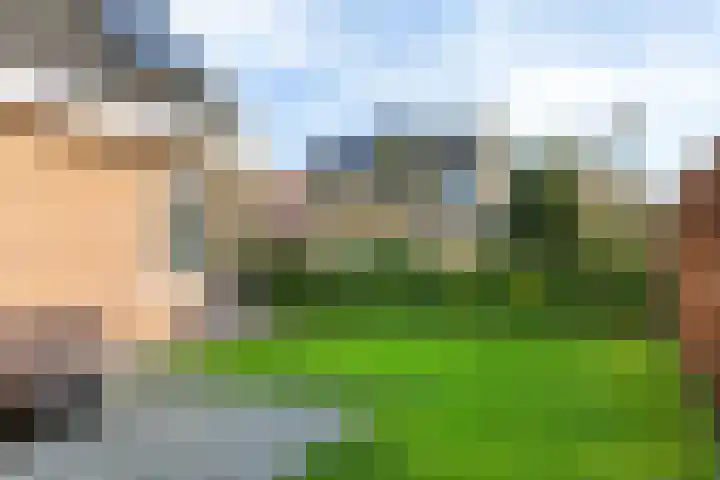 De Skuorrereed 7 Mantgum thumbnail 32