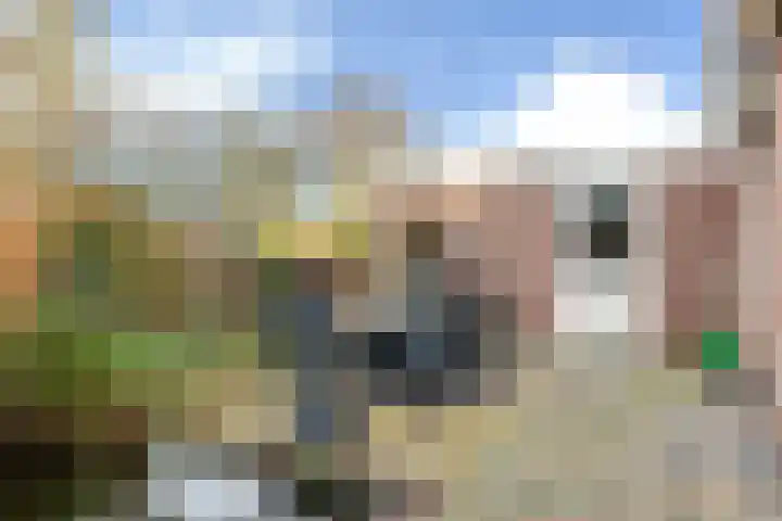 De Skuorrereed 7 Mantgum thumbnail 34