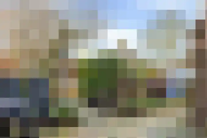 De Skuorrereed 7 Mantgum thumbnail 35
