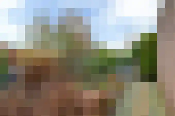 De Skuorrereed 7 Mantgum thumbnail 36