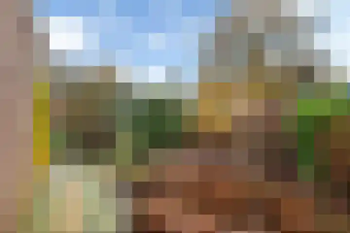 De Skuorrereed 7 Mantgum thumbnail 37