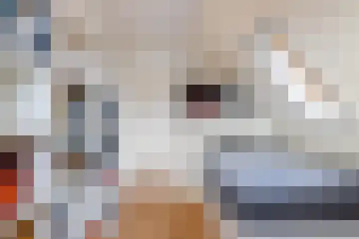 De Skuorrereed 7 Mantgum thumbnail 41