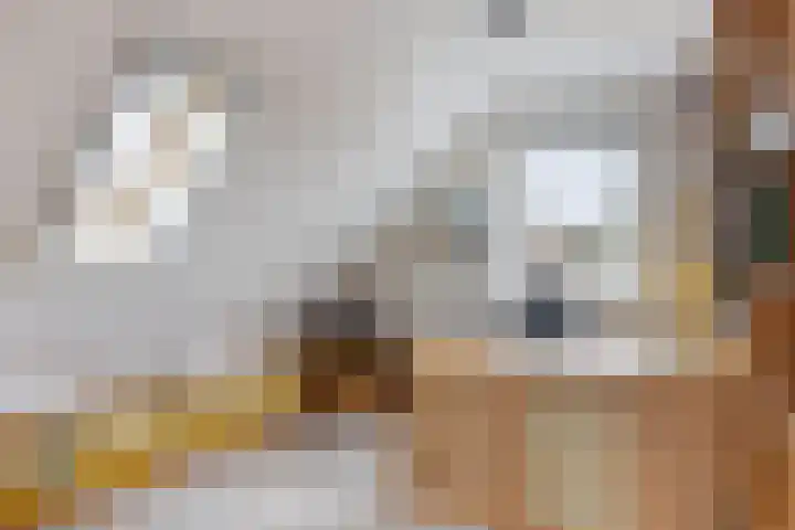 De Skuorrereed 7 Mantgum thumbnail 44