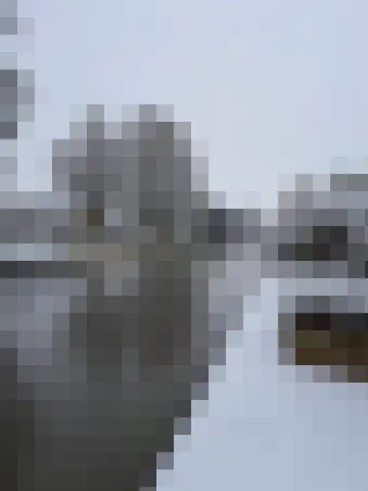 De Skuorrereed 7 Mantgum thumbnail 49