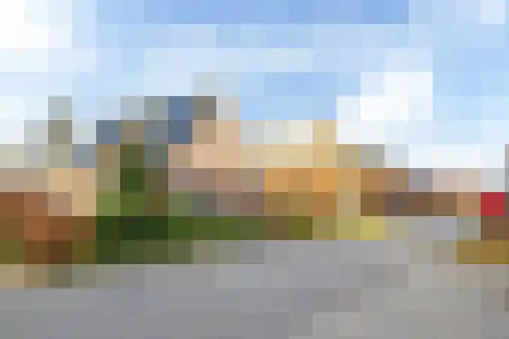 De Skuorrereed 7 Mantgum thumbnail 6
